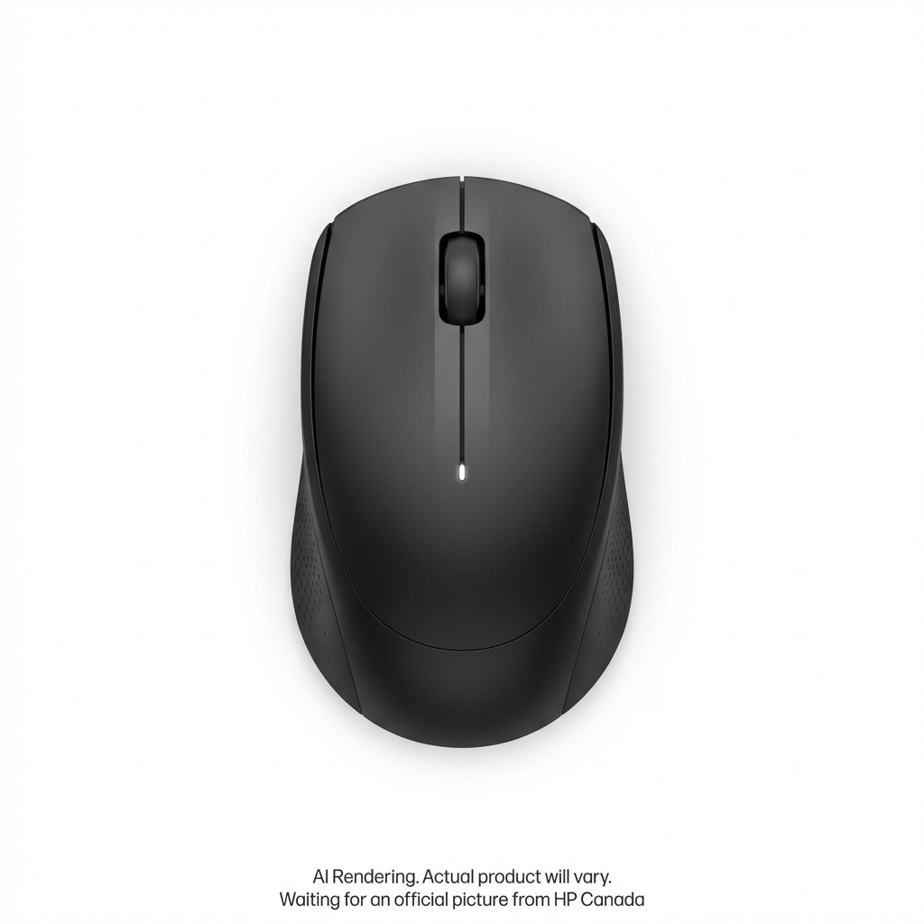 HP 250 Dual Wireless Mouse Canada - French Bilingual