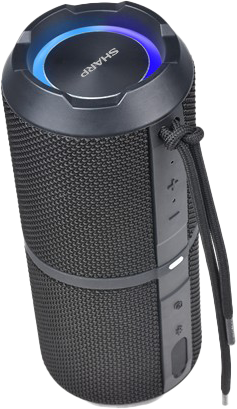 Sharp GX-BT290-BK Crystal Clear Series Portable Bluetooth Speaker - 32W, IP67 Waterproof with RGB Lights, Black