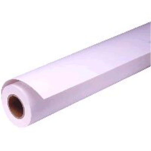 Epson Premium Glossy Photo Paper (250) (16"x100') ro
